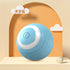 Smart Interactive Rolling Ball for Cats – Electronic Indoor Toy